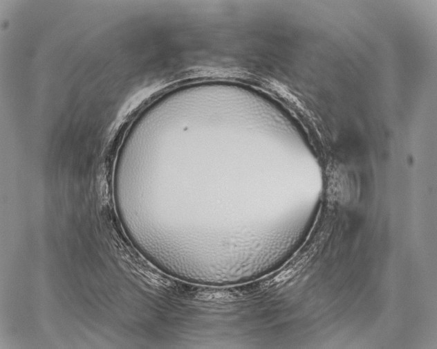 X0000062671215200601041001