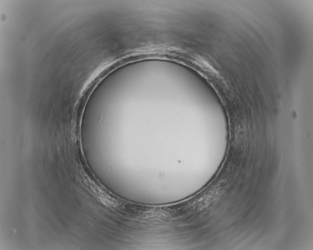 X0000062671216200601041001