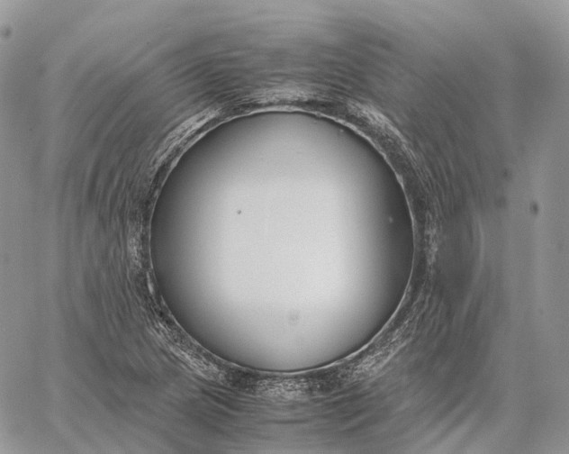 X0000062671217200601041001