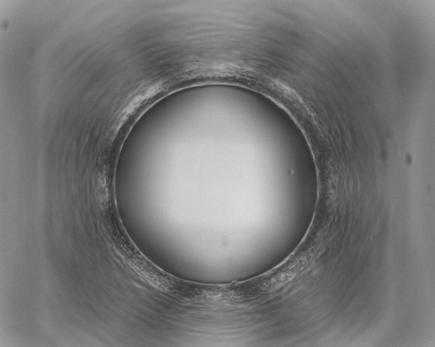 X0000062671218200601041001