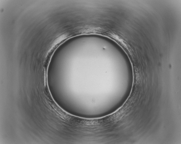 X0000062671219200601041001