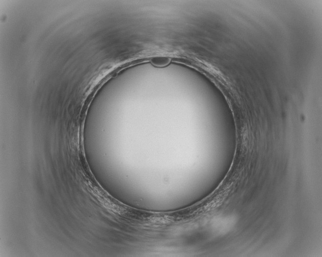 X0000062671220200601041001