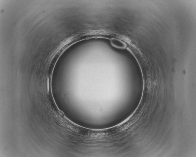 X0000062671221200601041001