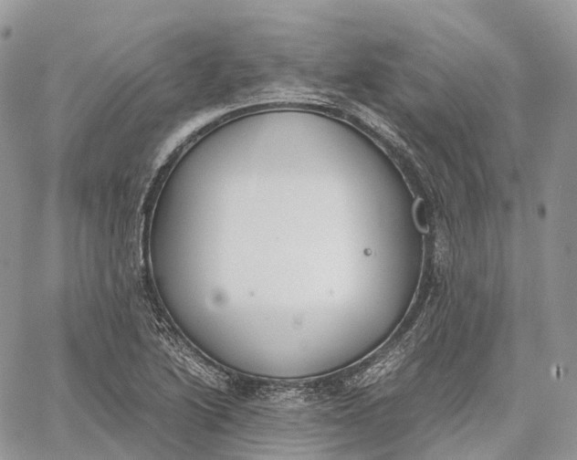 X0000062671222200601041001