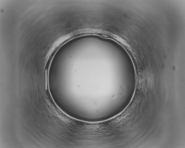 X0000062671223200601041001