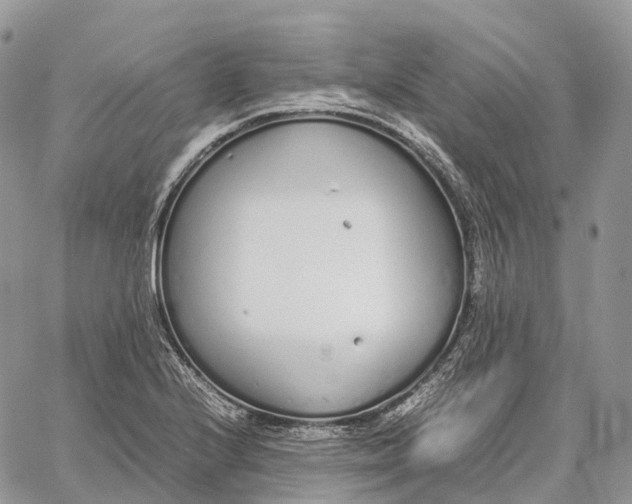 X0000062671224200601041001