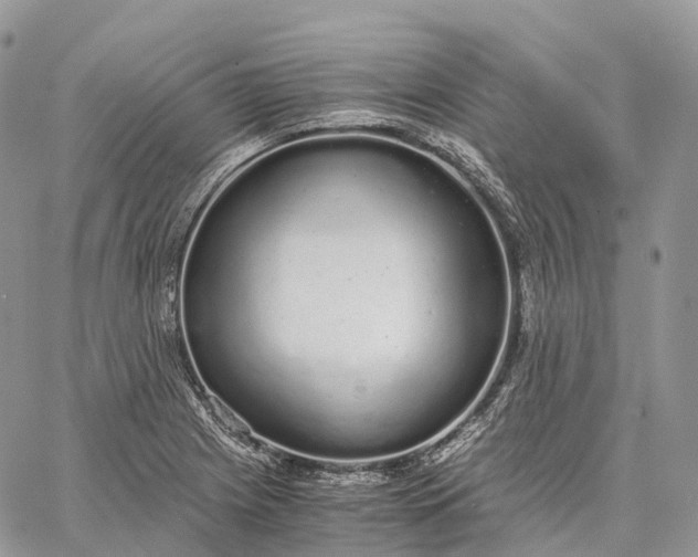 X0000062671225200601041001