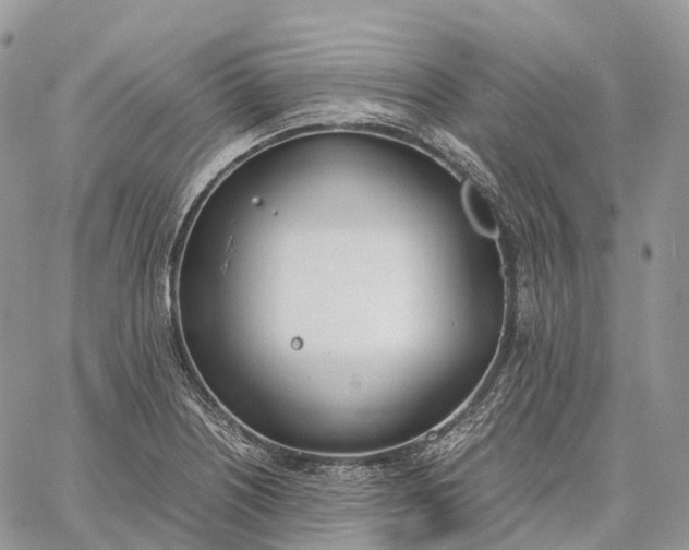 X0000062671226200601041001