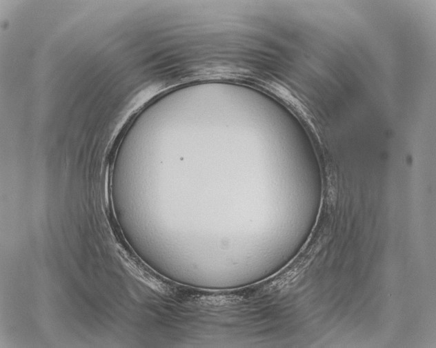 X0000062671227200601041001