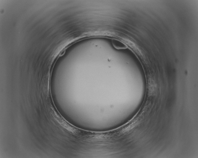 X0000062671228200601041001