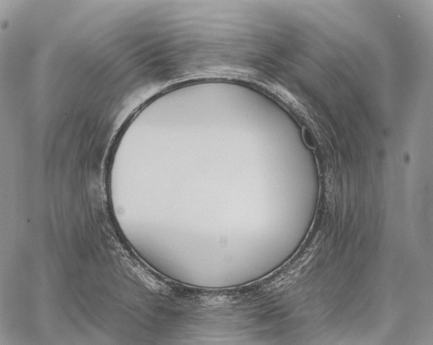 X0000062671230200601041001