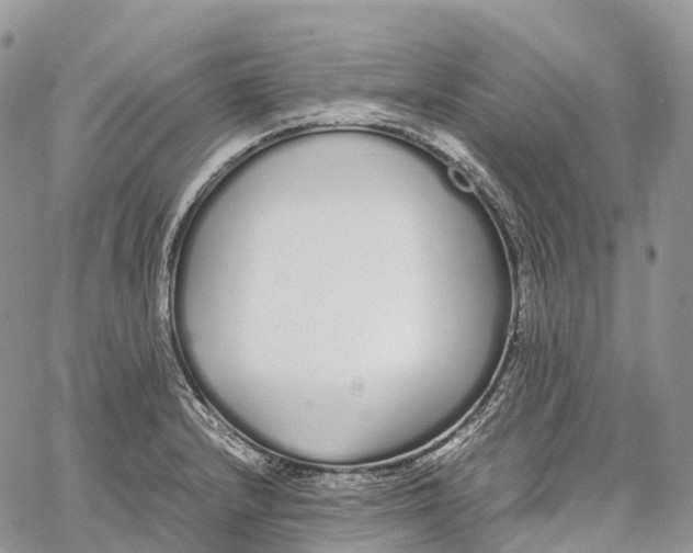 X0000062671232200601041001