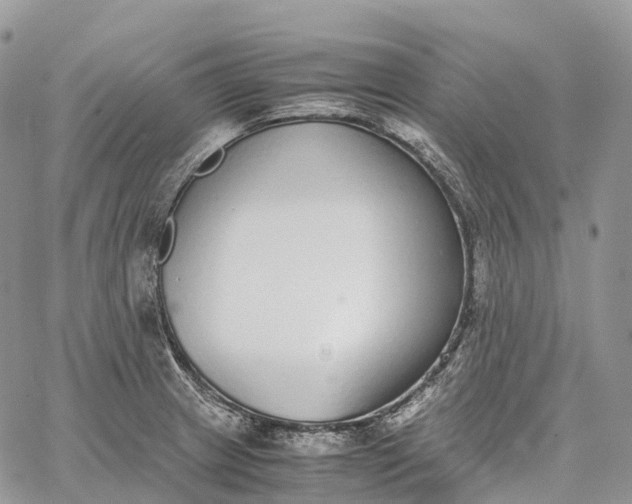 X0000062671233200601041001