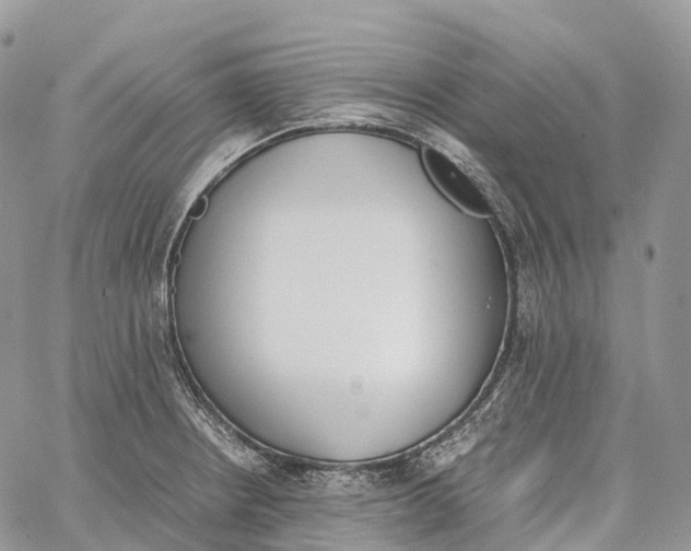 X0000062671234200601041001