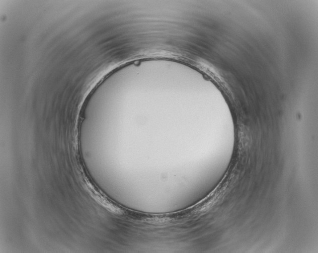 X0000062671236200601041001