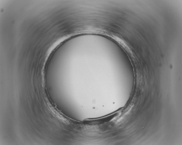 X0000062671238200601041001