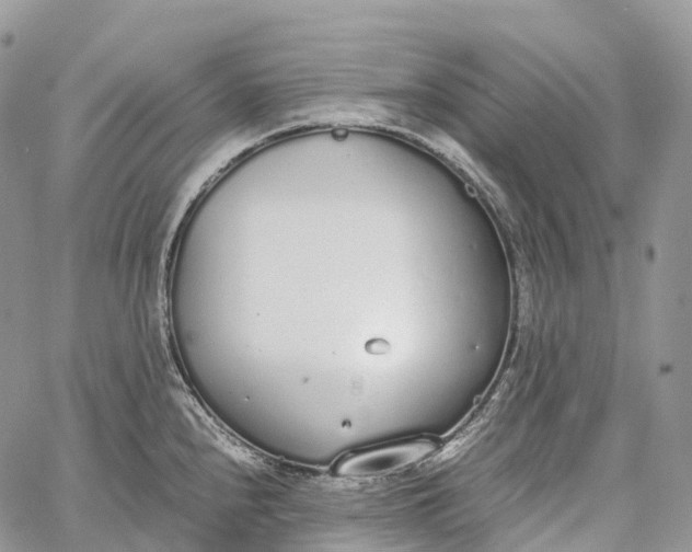 X0000062671240200601041001