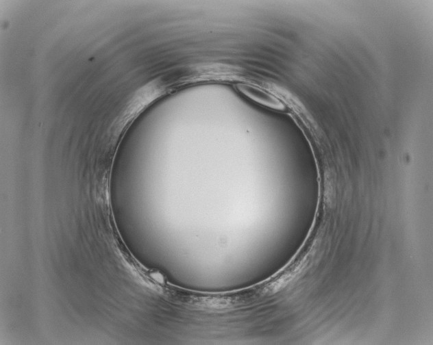 X0000062671241200601041001