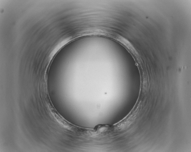 X0000062671242200601041001