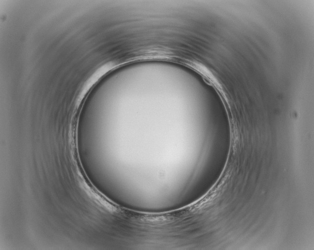 X0000062671243200601041001