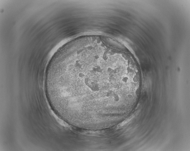 X0000062671245200601041001