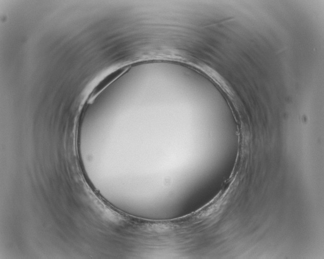 X0000062671246200601041001