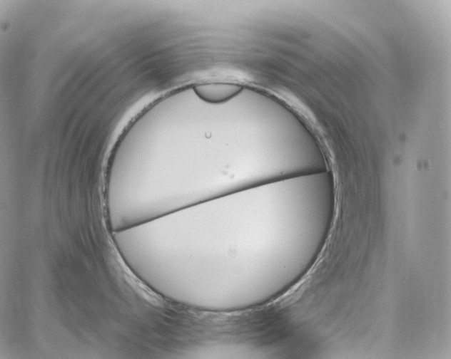 X0000062671248200601041001