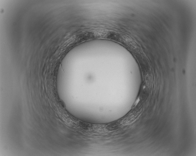 X0000062671249200601041000