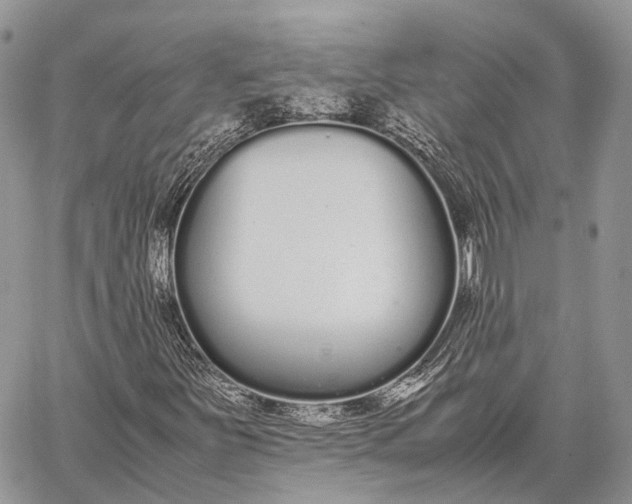 X0000062671251200601041000