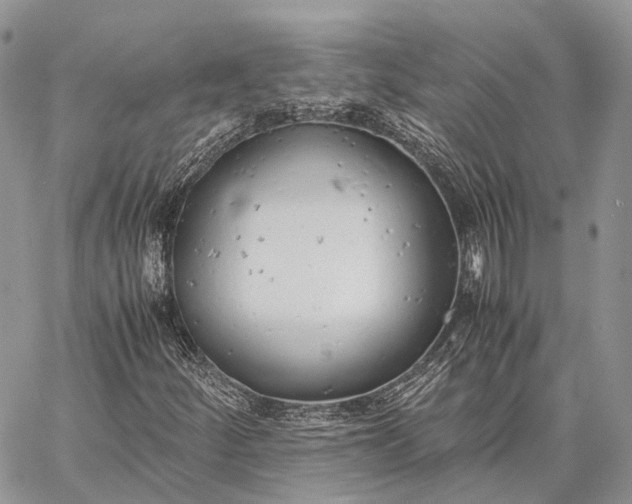 X0000062671252200601041000