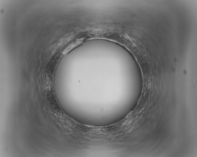 X0000062671253200601041000