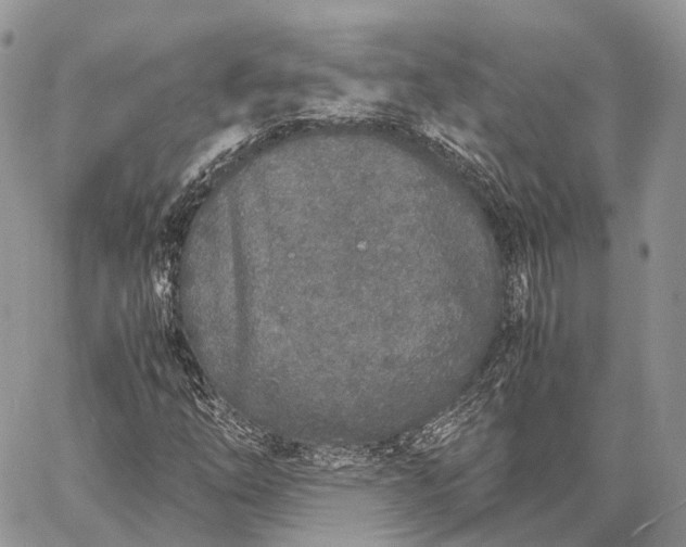 X0000062671254200601041000