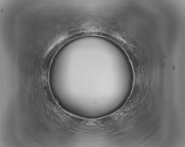 X0000062671255200601041000