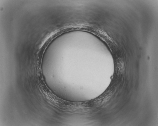 X0000062671256200601041000