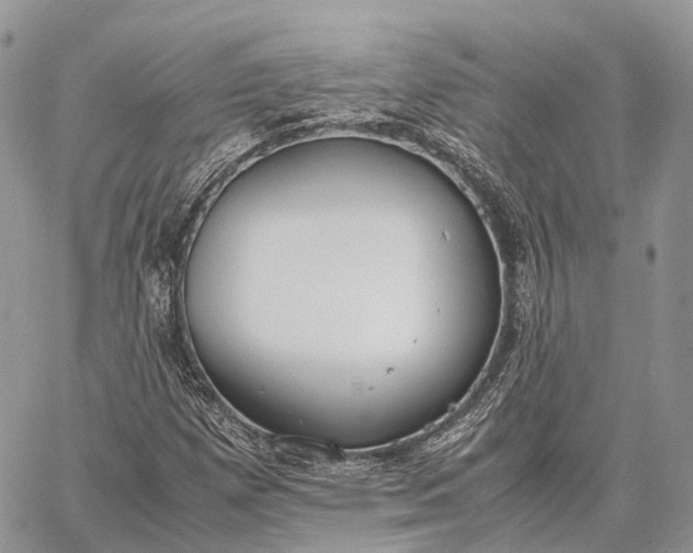 X0000062671257200601041000