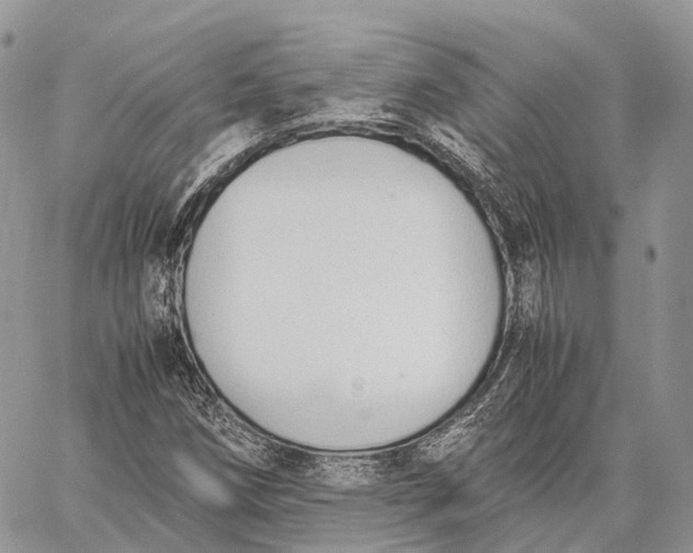 X0000062671258200601041000