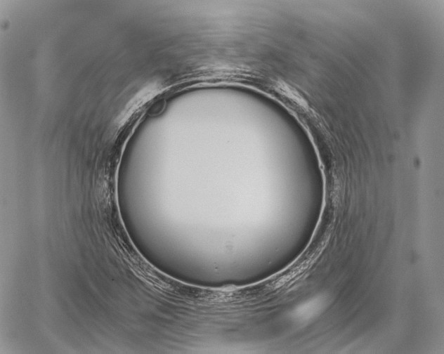 X0000062671259200601041000