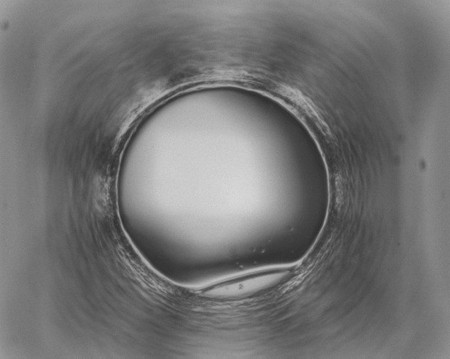 X0000062671260200601041000