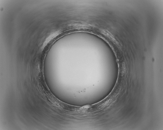 X0000062671261200601041000