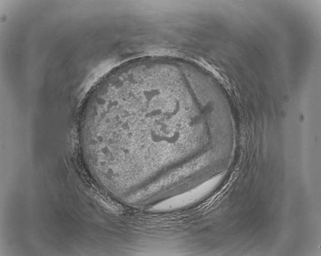 X0000062671263200601041000