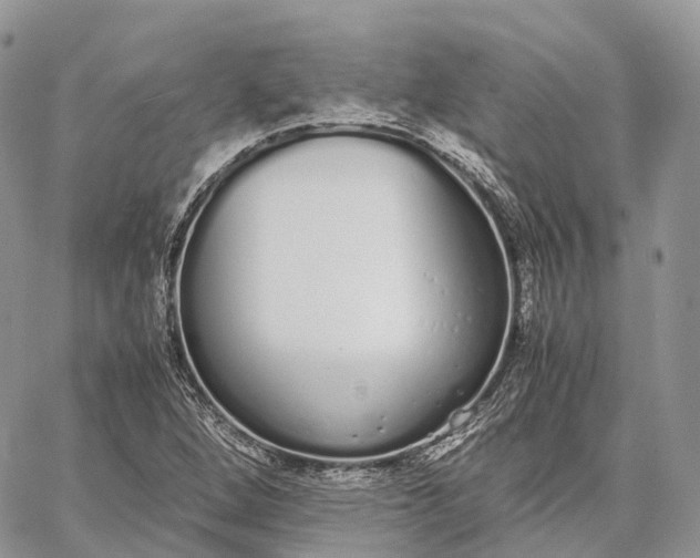 X0000062671264200601041000