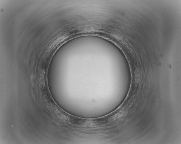 X0000062671265200601041000