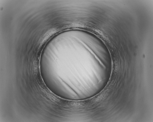 X0000062671266200601041000