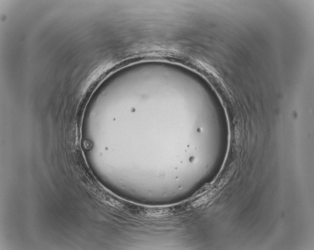 X0000062671267200601041000