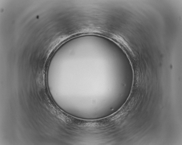 X0000062671268200601041000