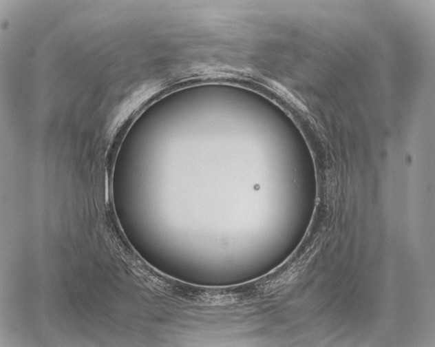 X0000062671269200601041000