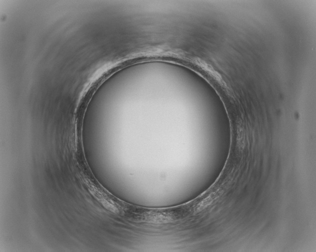 X0000062671270200601041000