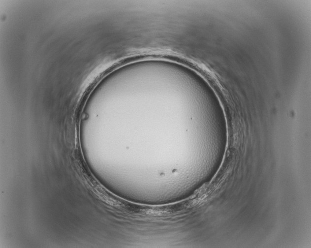 X0000062671271200601041000