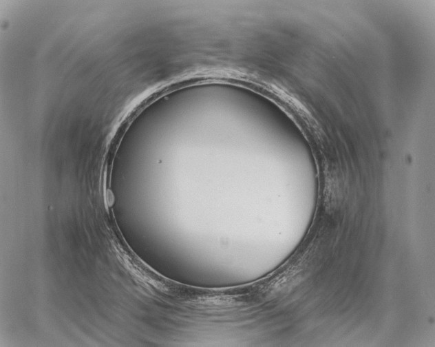 X0000062671272200601041000