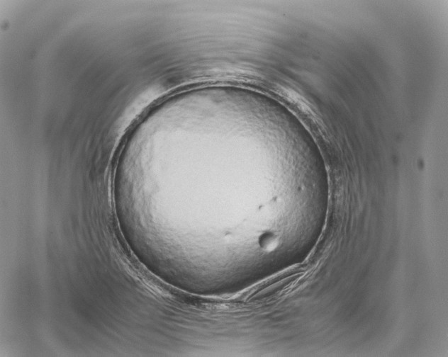 X0000062671275200601041000